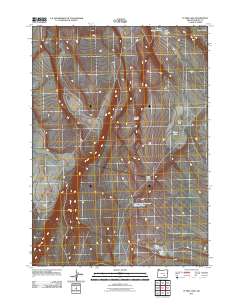Flybee Lake 2011 topographic map thumbnail