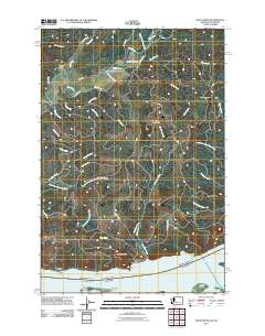 Grays River 2011 topographic map thumbnail