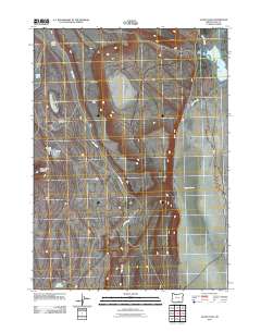 Guano Lake 2011 topographic map thumbnail