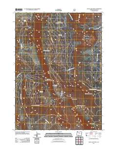 Swan Lake Point 2011 topographic map thumbnail