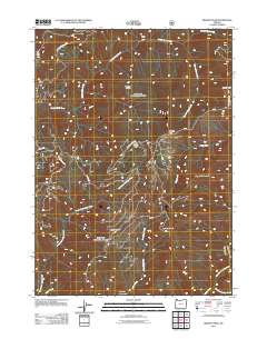 Brandy Peak 2011 topographic map thumbnail