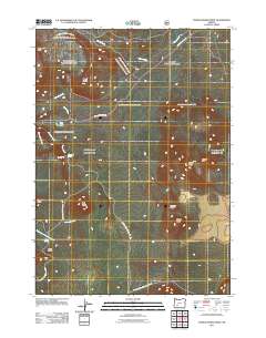 Pumice Desert West 2011 topographic map thumbnail