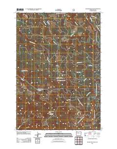 Swamp Mountain 2011 topographic map thumbnail
