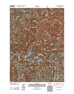 Illahee Rock 2011 topographic map thumbnail