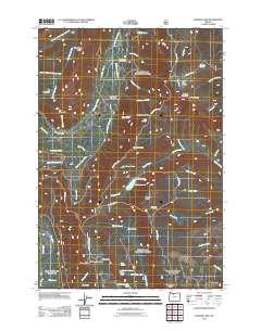 Badger Lake 2011 topographic map thumbnail