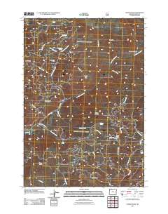 Steins Pillar 2011 topographic map thumbnail