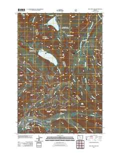 Bull Run Lake 2011 topographic map thumbnail