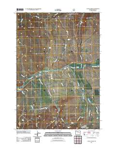 Castle Creek 2011 topographic map thumbnail