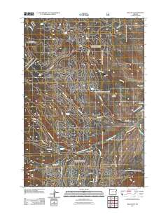 Rail Gulch 2011 topographic map thumbnail