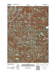 Buckeye Lake 2011 topographic map thumbnail