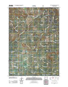 Big Butte Springs 2011 topographic map thumbnail
