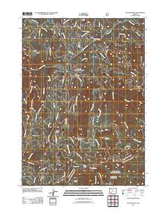 Butler Butte 2011 topographic map thumbnail