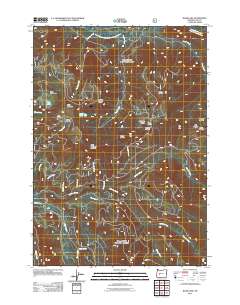 Blair Lake 2011 topographic map thumbnail