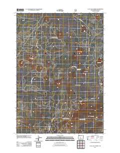 Lava Cast Forest 2011 topographic map thumbnail