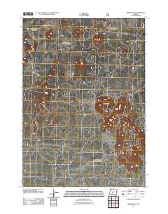 Indian Butte 2011 topographic map thumbnail