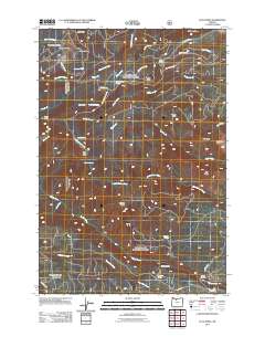 Flag Point 2011 topographic map thumbnail