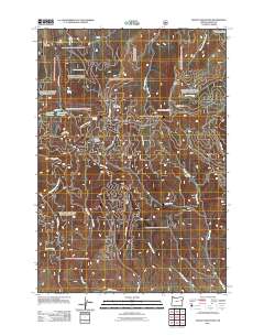 Dooley Mountain 2011 topographic map thumbnail