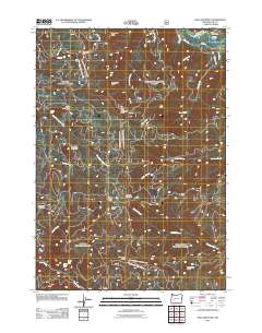 Holland Point 2011 topographic map thumbnail