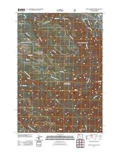 Wildcat Mountain 2011 topographic map thumbnail