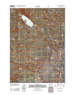Miller Lake 2011 topographic map thumbnail