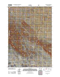 Millican SE 2011 topographic map thumbnail