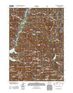 Mule Mountain 2011 topographic map thumbnail
