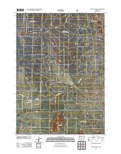 Moffitt Butte 2011 topographic map thumbnail