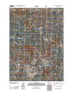 Silver Dollar Flat 2011 topographic map thumbnail