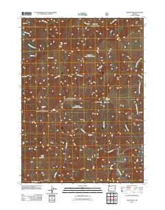 Silver Peak 2011 topographic map thumbnail