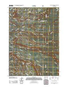 Thousand Springs 2011 topographic map thumbnail