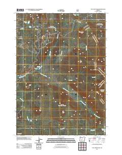 Tolo Mountain 2011 topographic map thumbnail