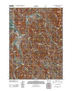 Shoestring Butte 2011 topographic map thumbnail