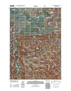 Williams Prairie 2011 topographic map thumbnail