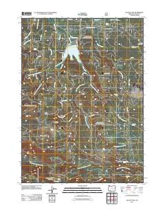 Willow Lake 2011 topographic map thumbnail