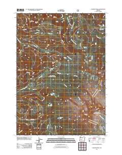 Diamond Peak 2011 topographic map thumbnail