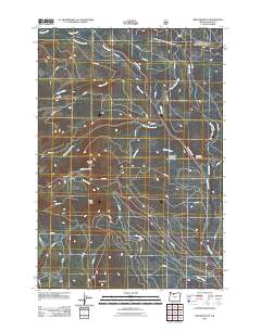 Beaver Butte 2011 topographic map thumbnail