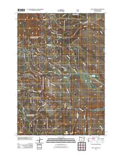 Blue Canyon 2011 topographic map thumbnail