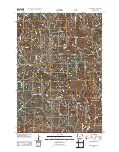 Cougar Rock 2011 topographic map thumbnail