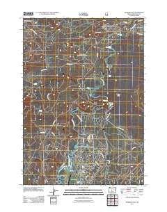 Benham Falls 2011 topographic map thumbnail