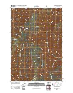 Bone Spring 2011 topographic map thumbnail