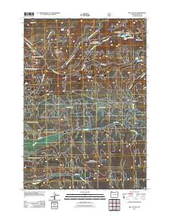 Big Canyon 2011 topographic map thumbnail