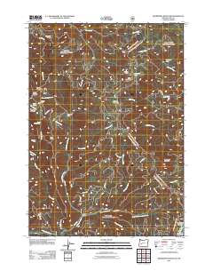 Bearbones Mountain 2011 topographic map thumbnail