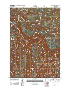 Bedford Point 2011 topographic map thumbnail