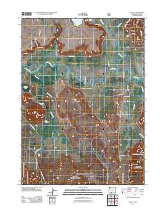 Beatty 2011 topographic map thumbnail