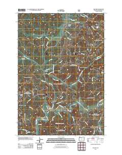 Beaver 2011 topographic map thumbnail
