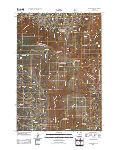 Bullrun Rock 2011 topographic map thumbnail