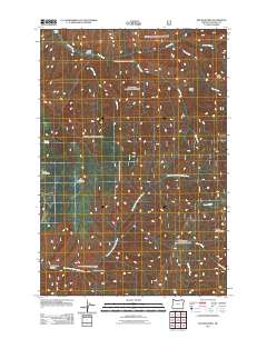 Big Meadows 2011 topographic map thumbnail