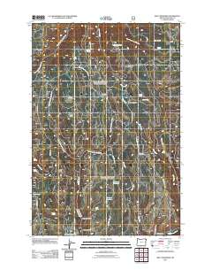 Billy Meadows 2011 topographic map thumbnail