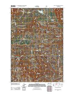 Bally Mountain 2011 topographic map thumbnail