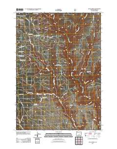 Buck Spring 2011 topographic map thumbnail